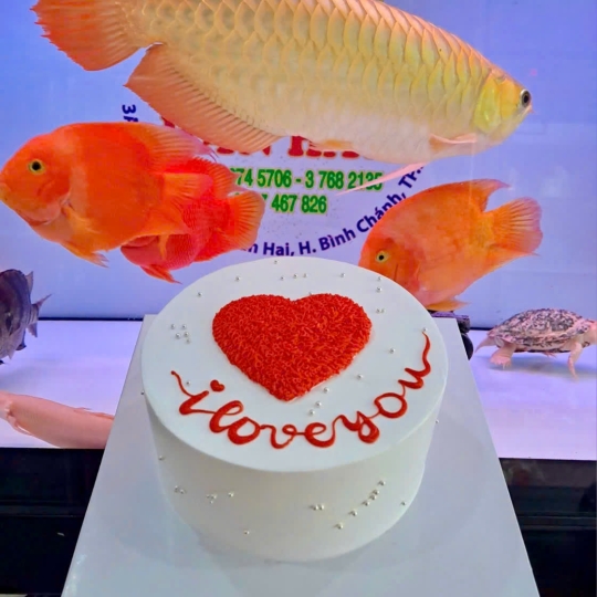 Bánh kem vẽ hình